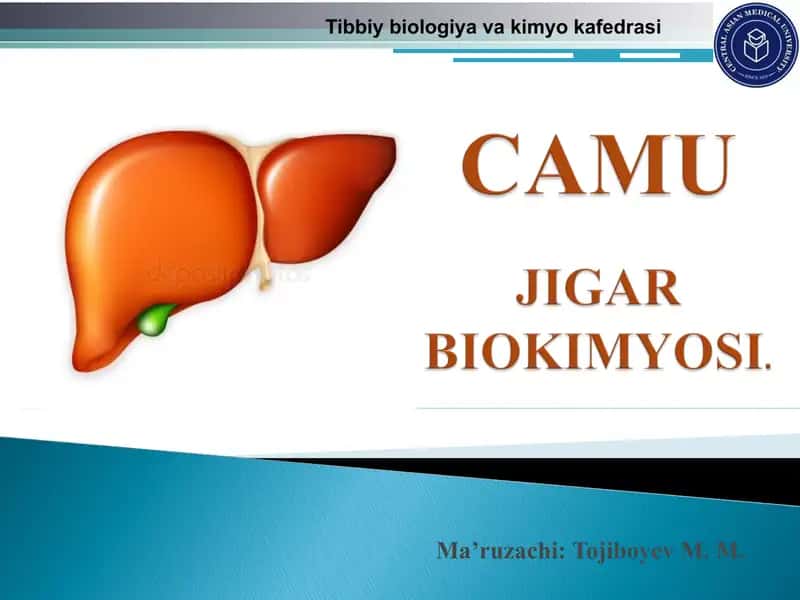 Jigar (OIT) 1