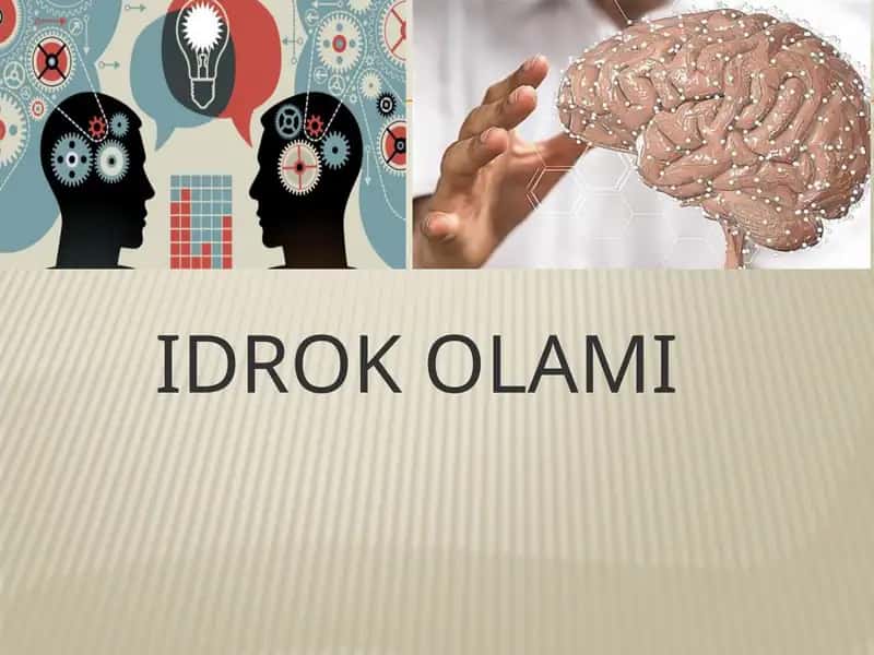slayd idrok 1