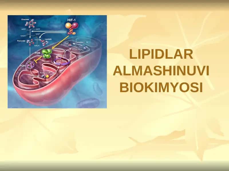 LIPIDLAR ALMASHINUVI BIOKIMYOSI 1