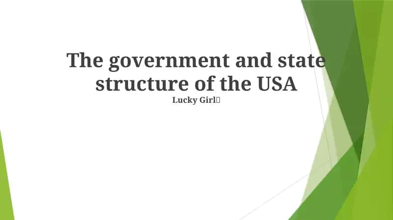 The government and state structure of the USA 1