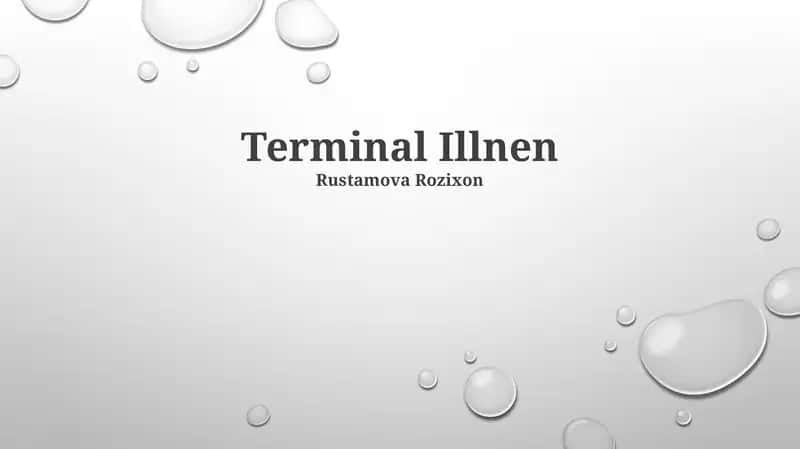 Terminal Illnen 1