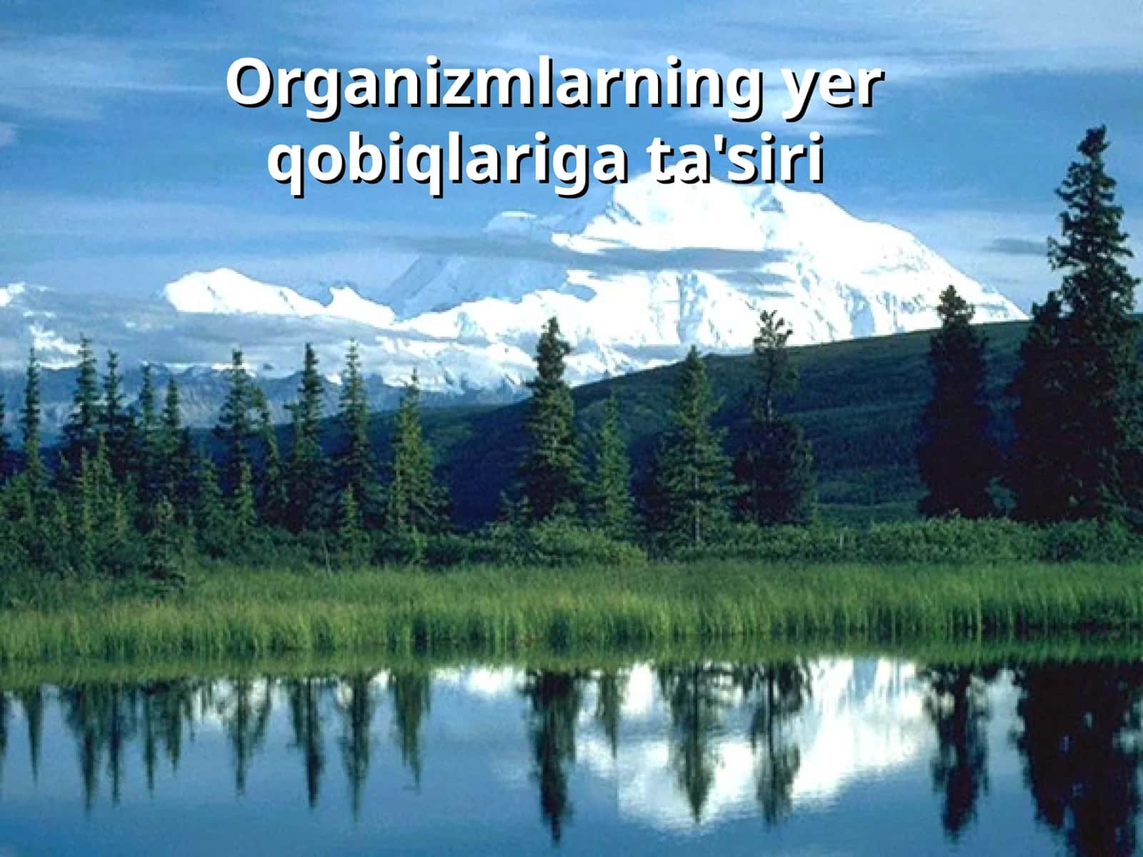 Organizmlarning yer qobiqlariga ta'siri 1