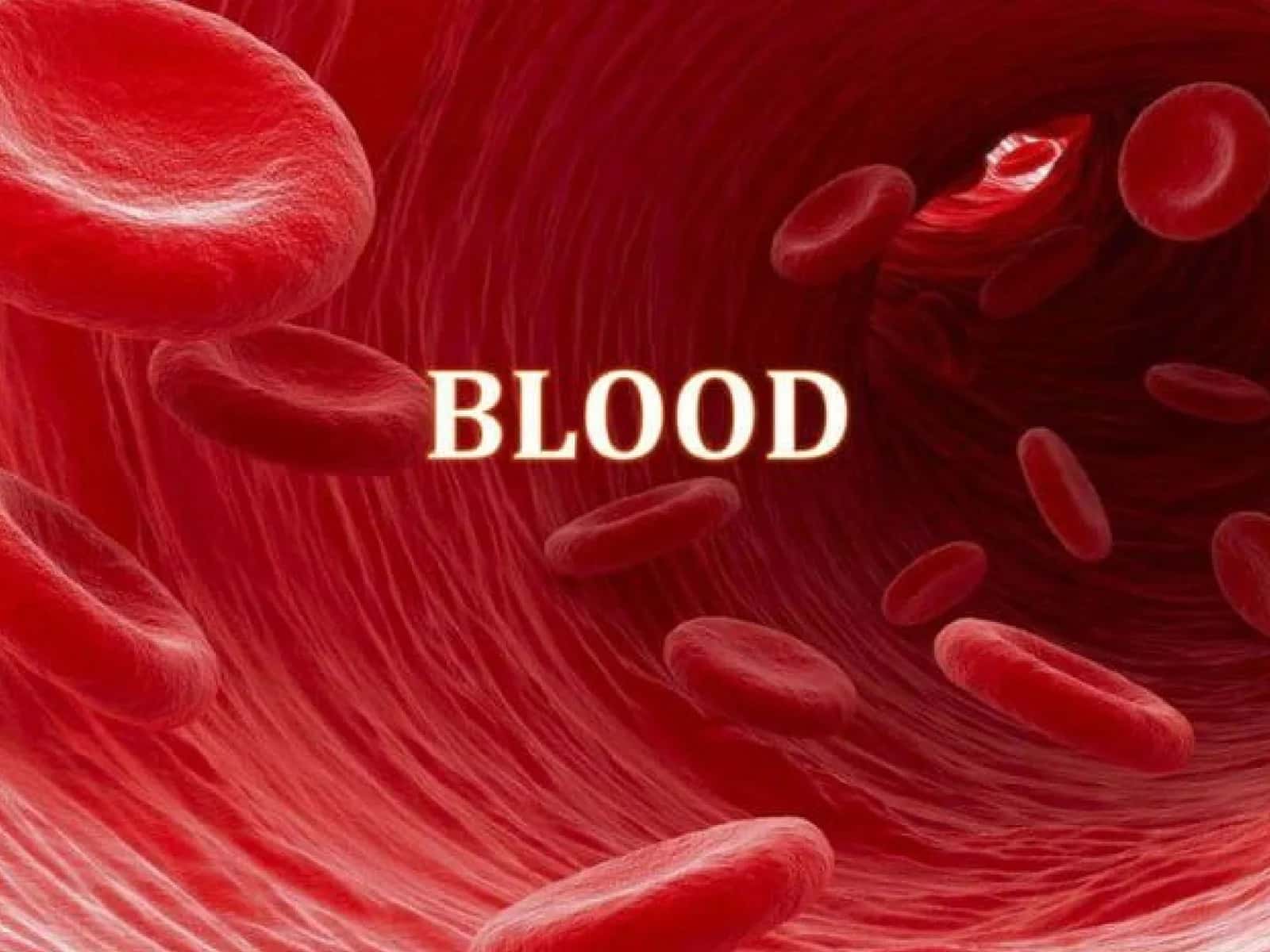 Blood 1