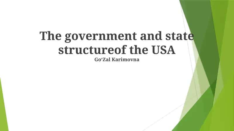 The government and state structureof the USA 1
