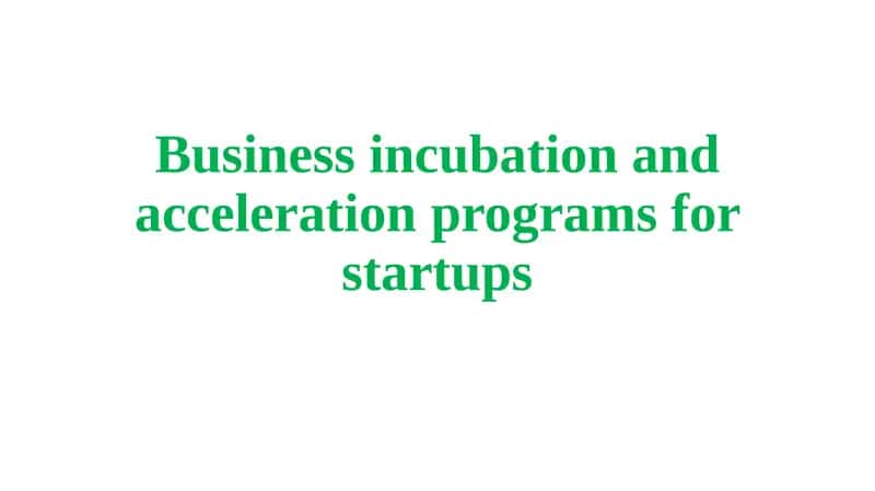 Business incubation and acceleration programs for startups 1