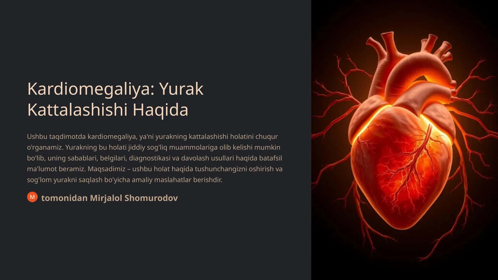 Kardiomegaliya: Yurak Kattalashishi Haqida 1