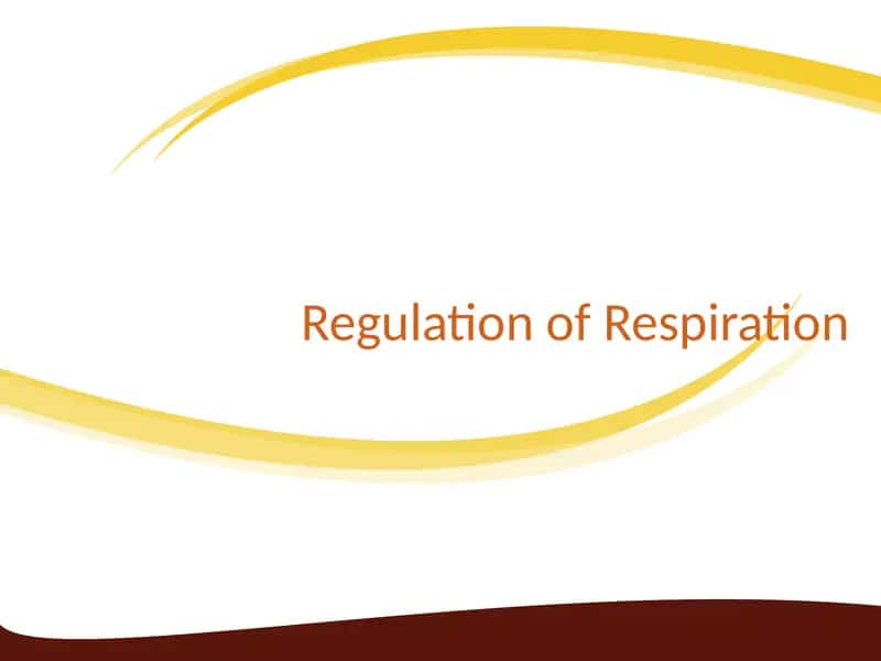 Regulation of Respiration 1