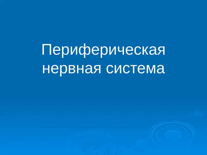 Периферическая нервная система 1