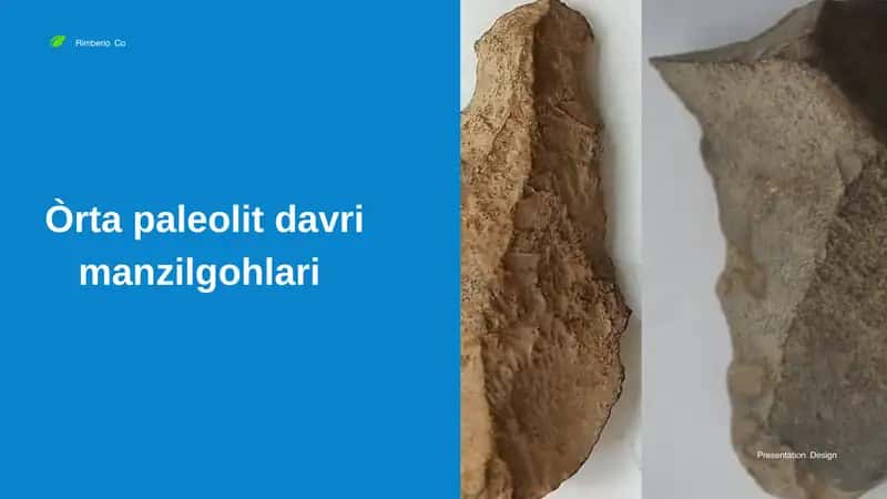 Òrta paleolit davri manzilgohlari 1