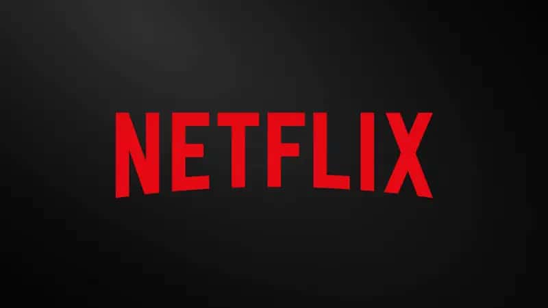 Netflix foyda va zarar bahosi || Taqdimot 1