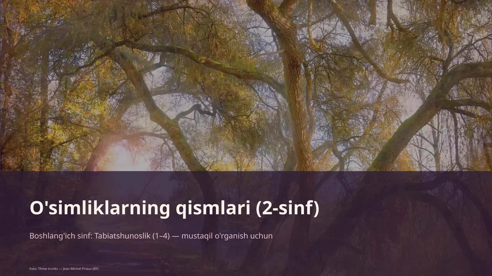 O'simliklarning qismlari (2-sinf) 1