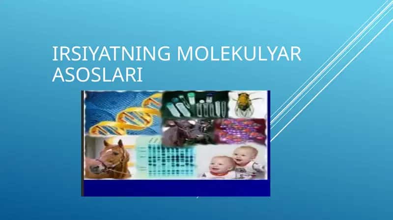 Irsiyatning molekulyar asoslari 1