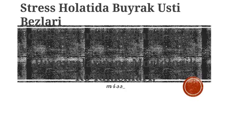 Buyrak Usti Bezlari 1