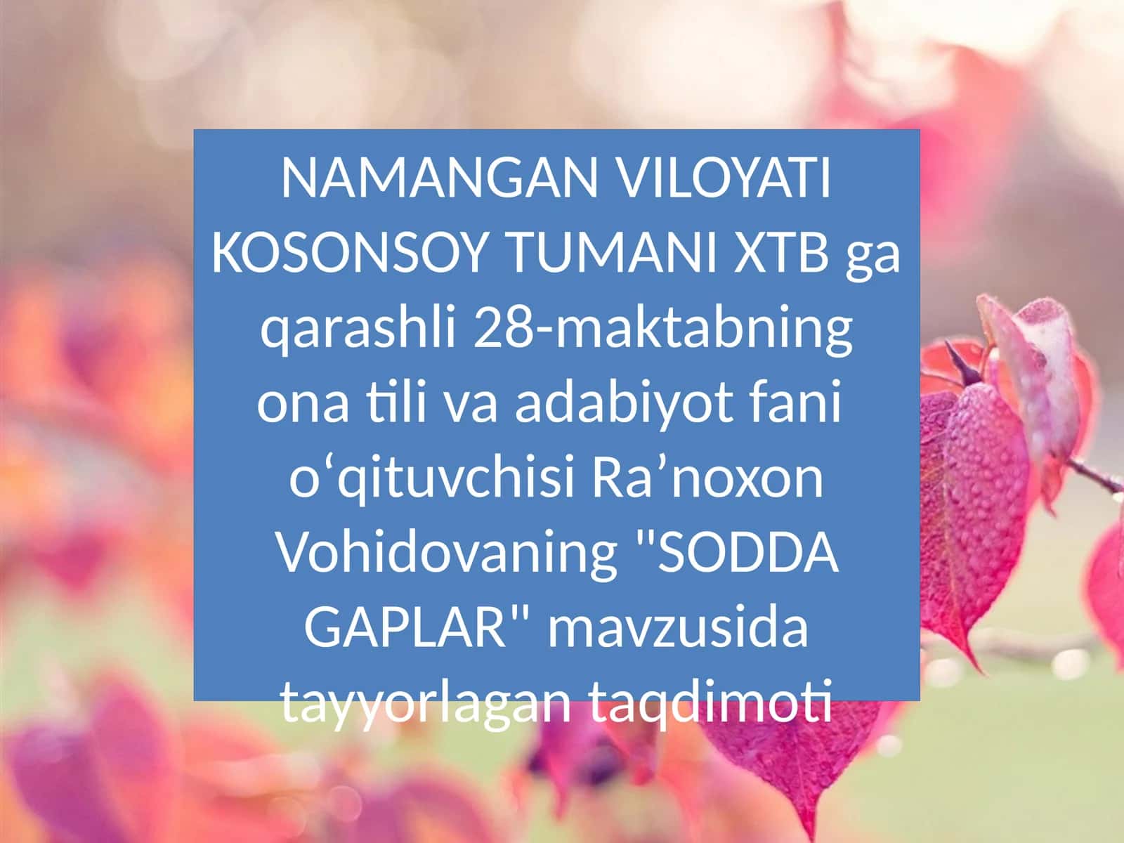 SODDA GAPLAR 1