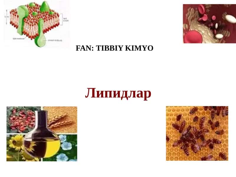Липидлар 1