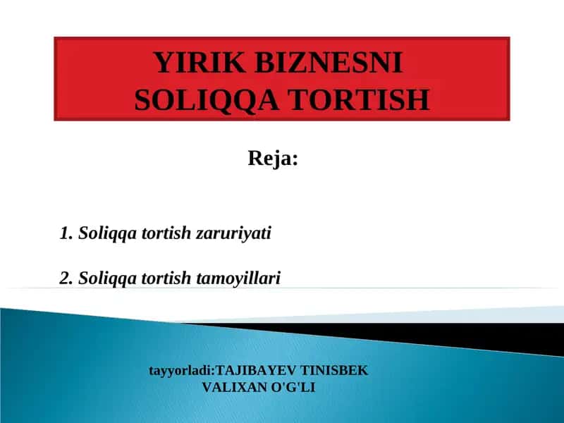SOLIQQA TORTISH 1