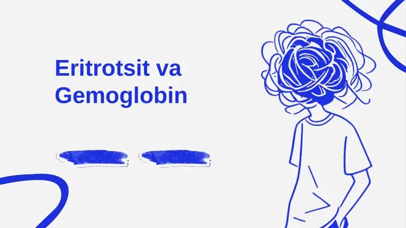 Eritrotsit va Gemoglobin 1