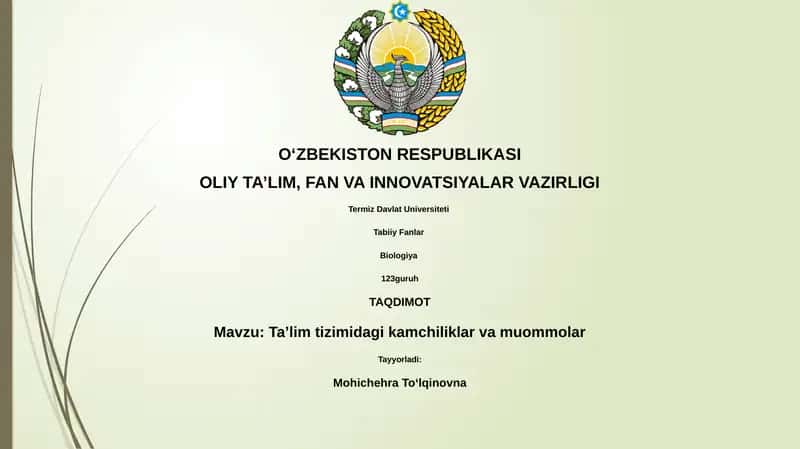 Taʼlim tizimidagi kamchiliklar va muommolar 1