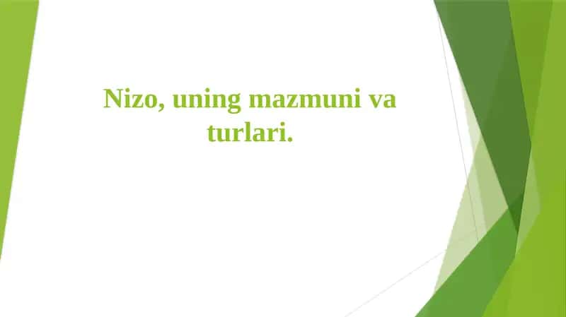 Nizo 1