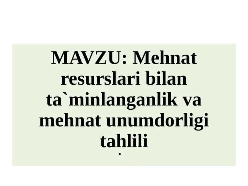 Mehnat resurslari bilan ta`minlanish 1