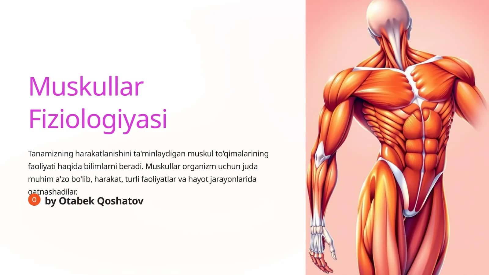 Muskullar Fiziologiyasi 1
