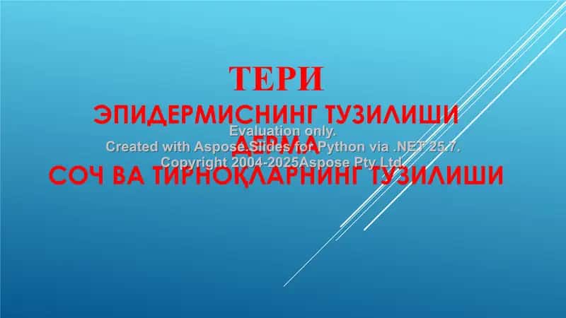 Тери тузилганлиги 1
