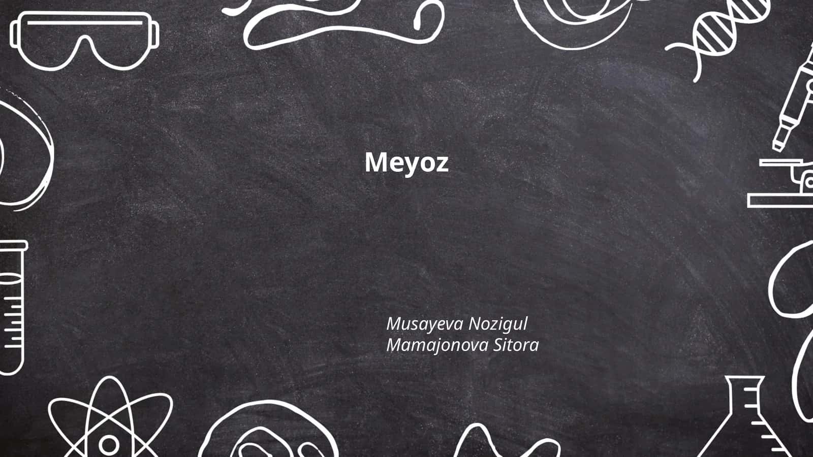 Meyoz 1