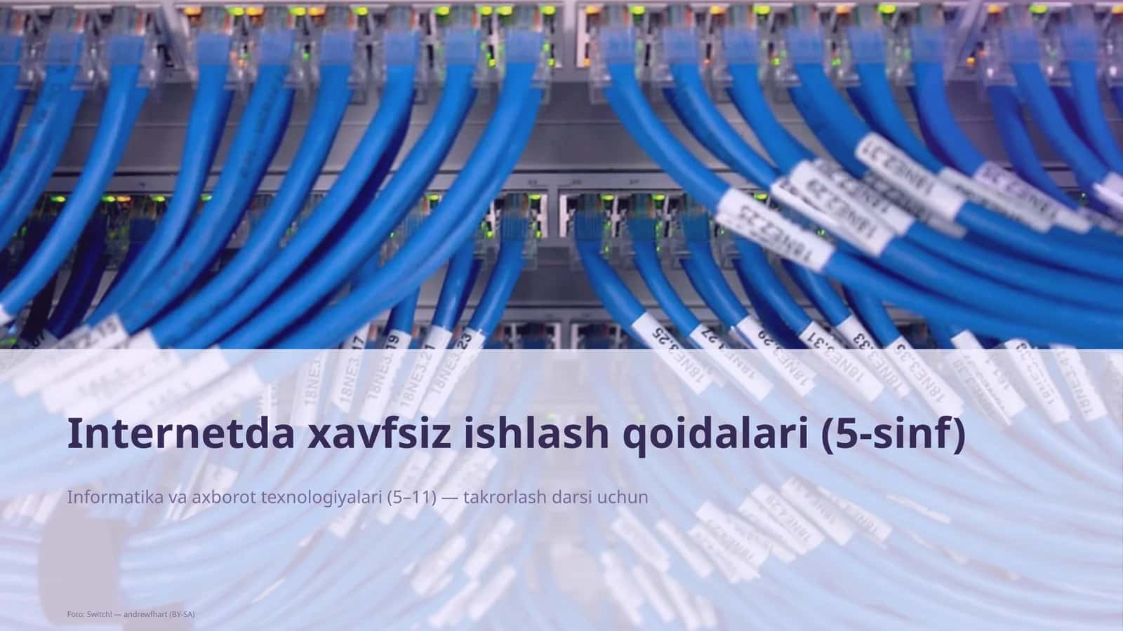 Internetda xavfsiz ishlash qoidalari (5-sinf) 1