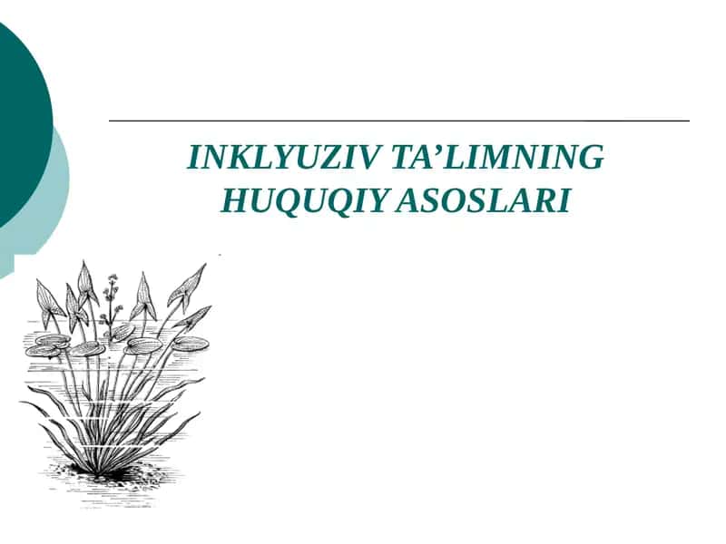 INKLYUZIV TA’LIMNING HUQUQIY ASOSLARI 1