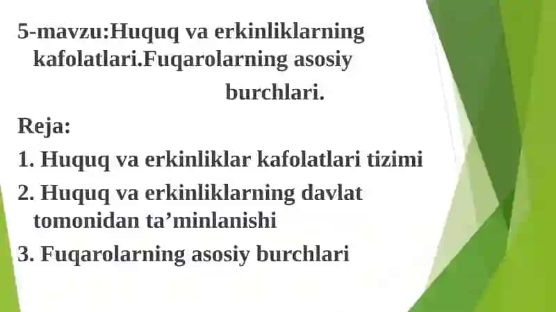 Huquq va erkinliklar kafolatlari