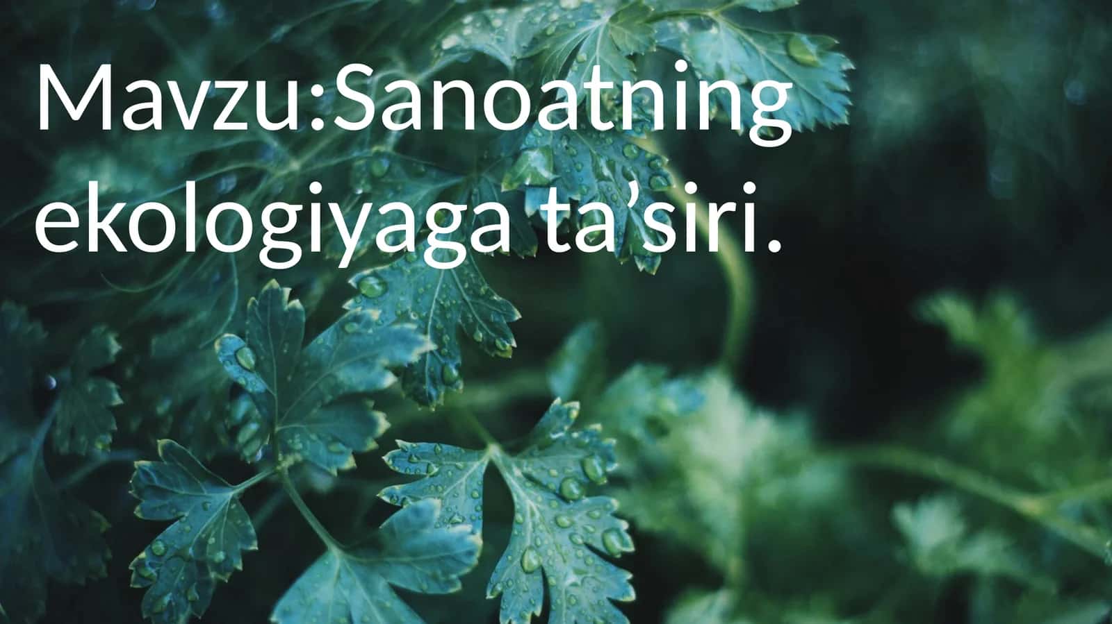 Sanoatning ekologiyaga ta’siri 1