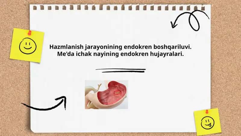 Hazmlanish jarayonining endokren boshqariluvi 1