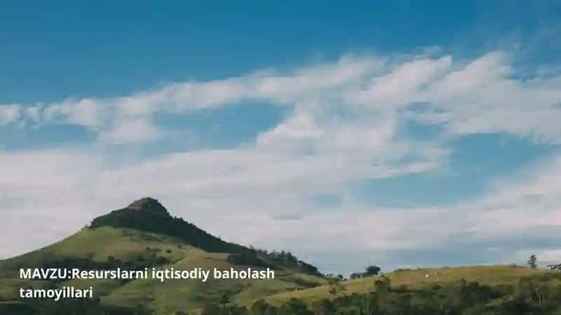 Resurslarni iqtisodiy baholash tamoyillari