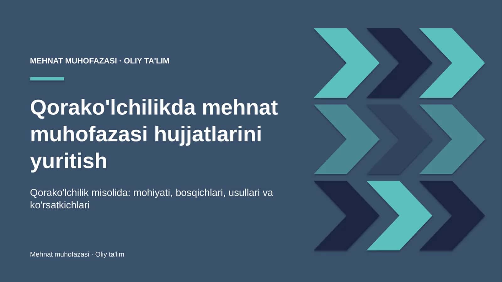 qorako'lchilikda mehnat muhofazasi hujjatlarini yuritish 1105 1