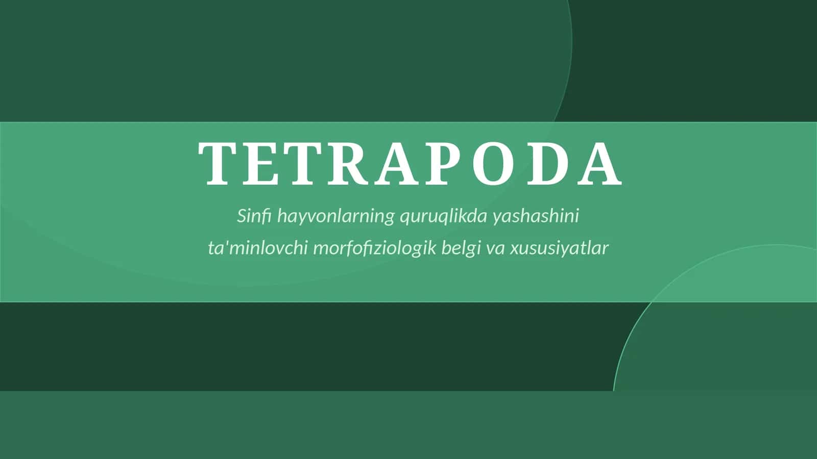TETRAPODA 1