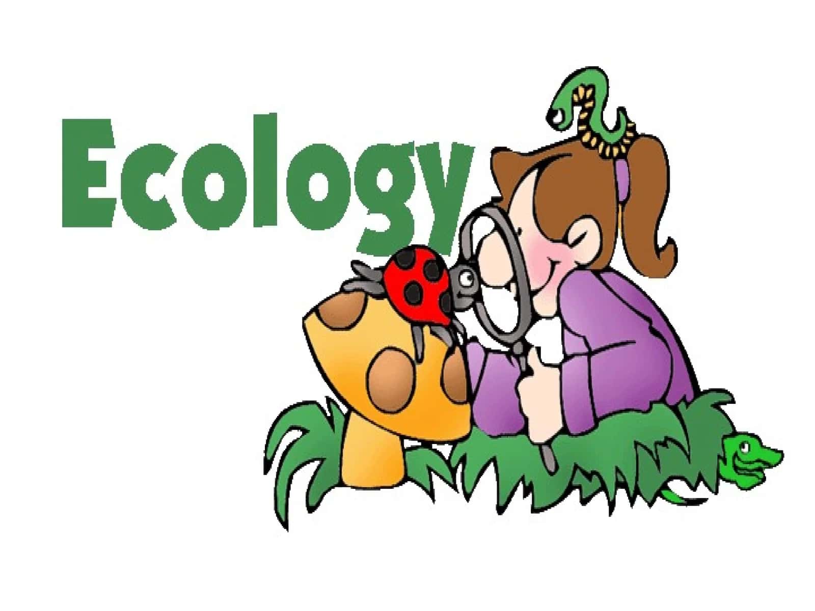 Ekologiya asoslari (Ecology Fundamentals) 1