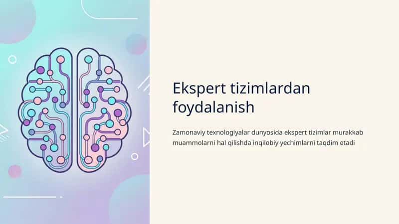 Ekspert tizimlardan foydalanish 1 1