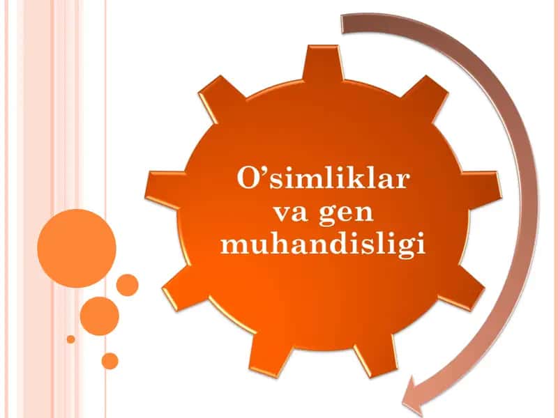 O’simliklar va gen muhandisligi 1