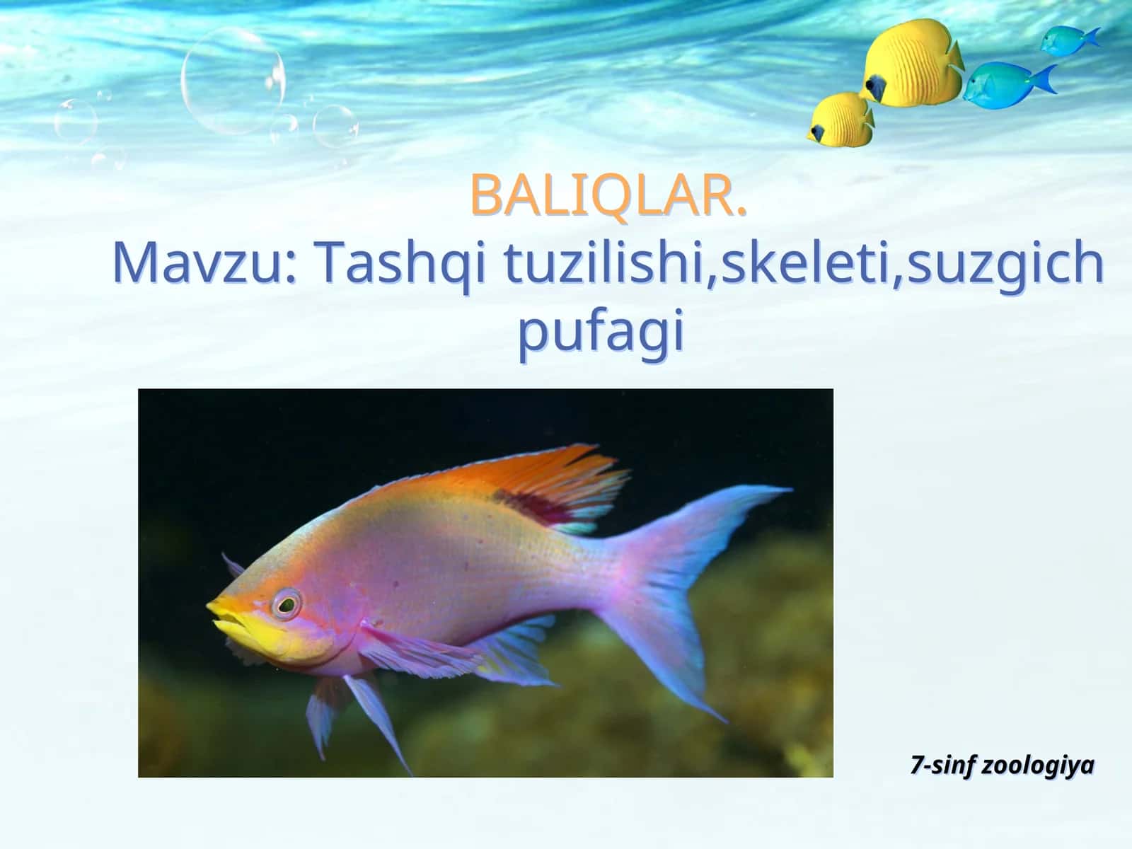 BALIQLAR 1