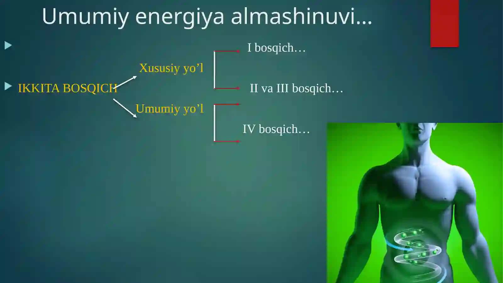 Mitoxondriyalkasalliklar 2