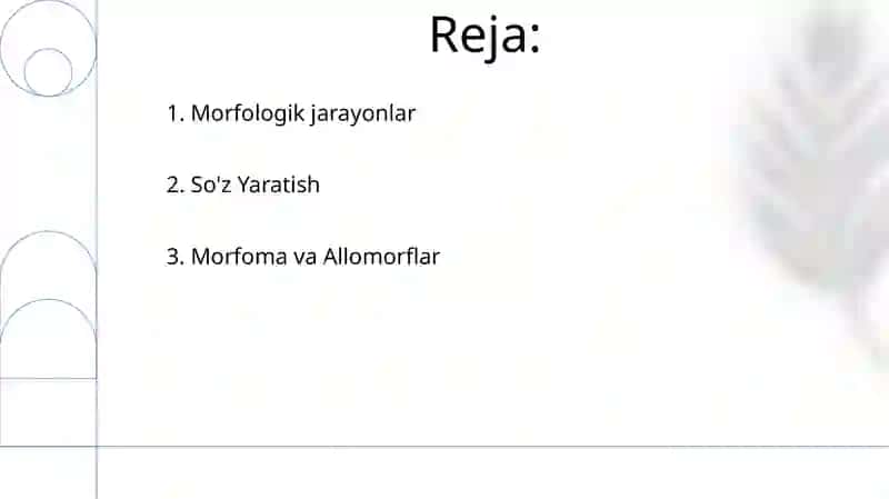 Morfologiya 2