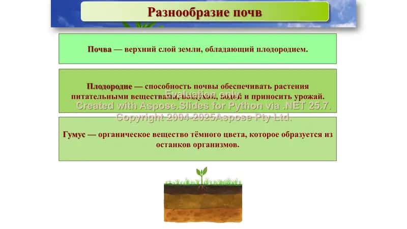 История изучения предмета География почв 2