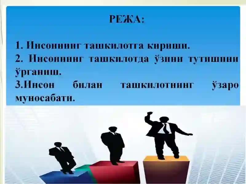 ИНСОНВА ТАШКИЛОТ 2