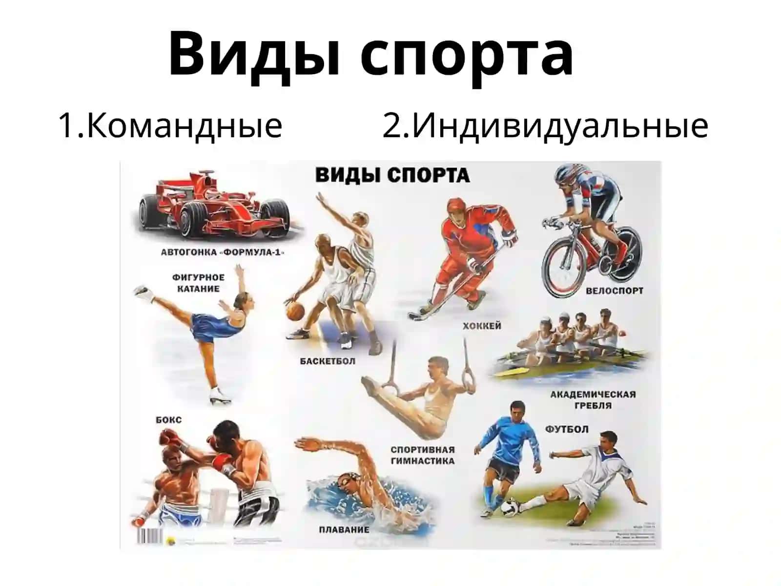 транспорт 2