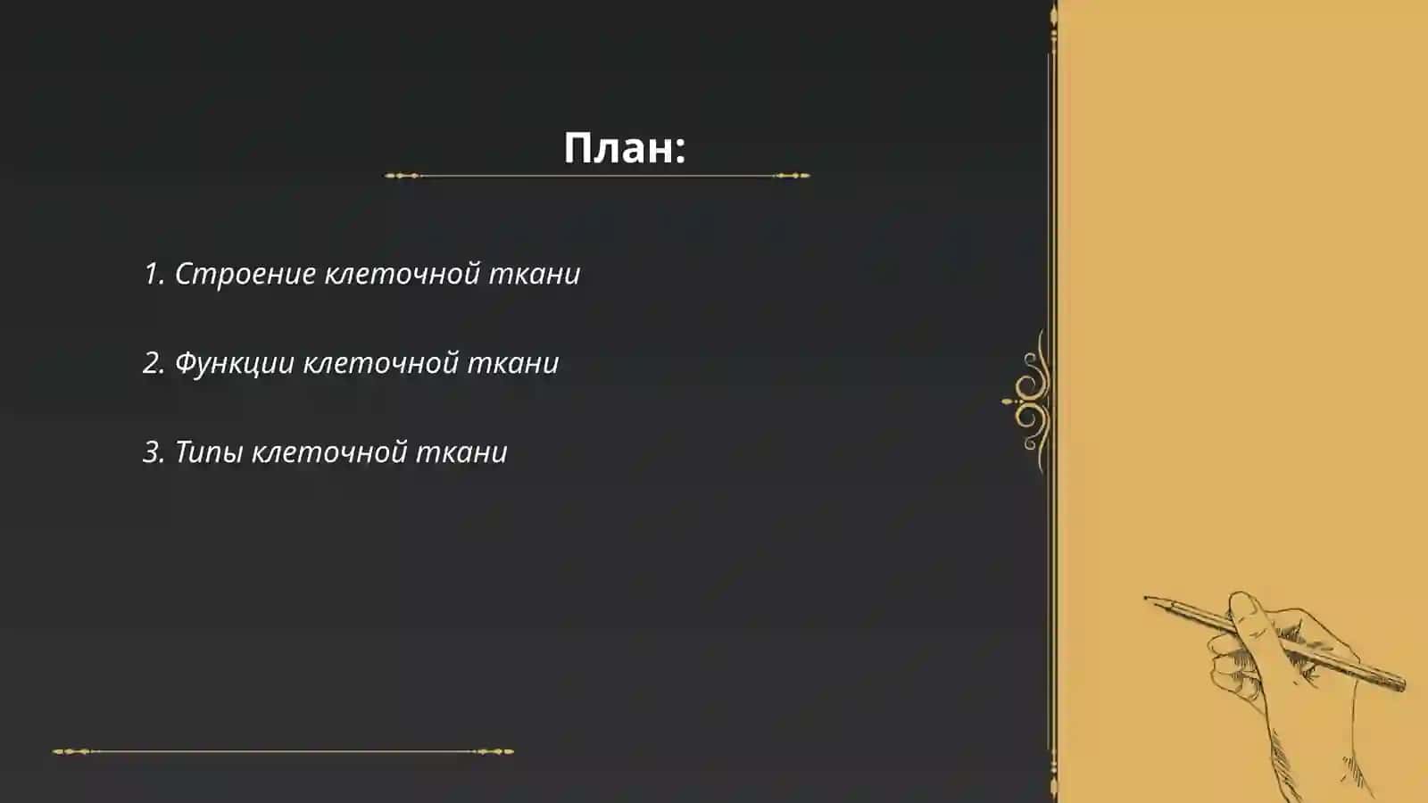 Клеточная ткань 2
