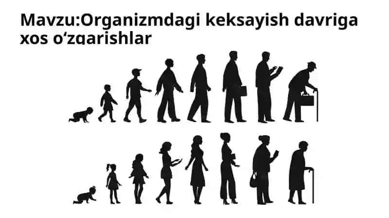 Organizmdagi keksayish davriga xos ozgarishlar 2