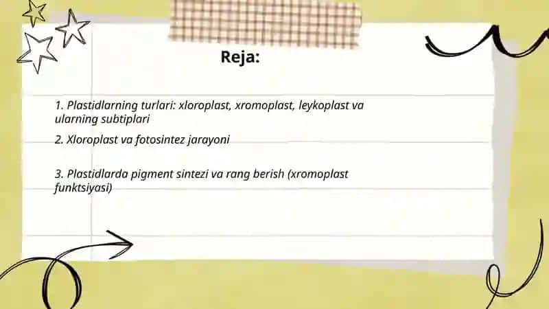 Plastidalarning oʻsimlik hayotidagi ahamiyati 2