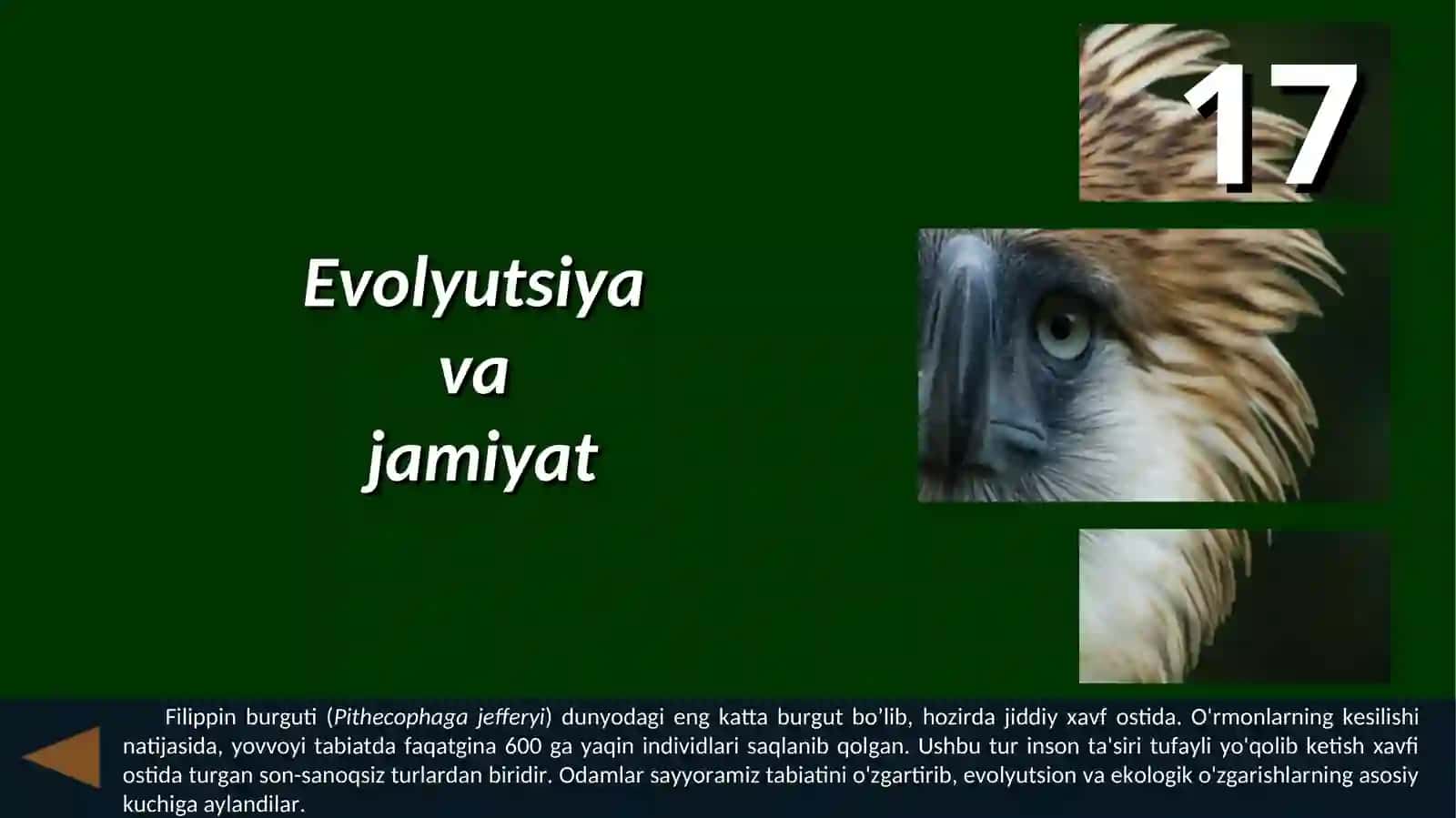 Evolyutsiya va jamiyat 2
