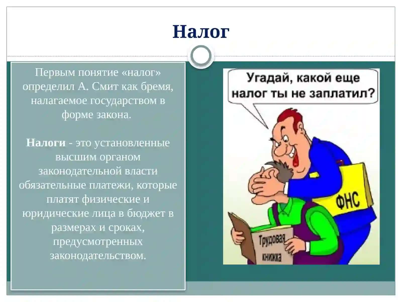 ОСНОВНЫЕ ФУНКЦИИ НАЛОГОВ 2