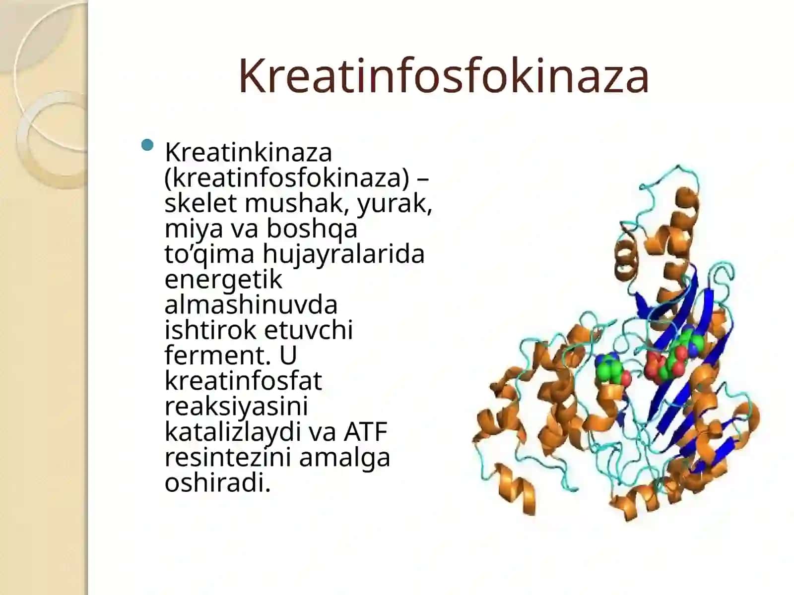 Kreatin fosfokinaza, miopatiyalar, mushak denervatsiasi 2